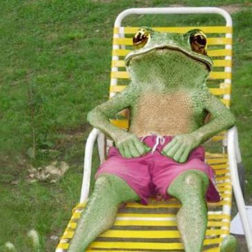 Зоофонд работает в праздники!