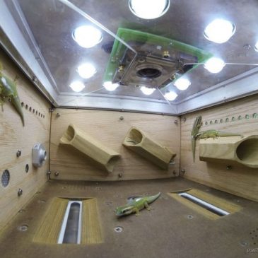 Снова летим в космос))